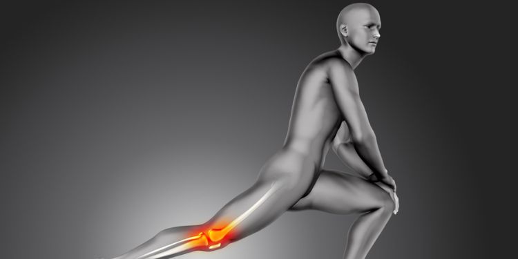 Article: Osteoarthritis Falls Origins, Risks, and Prevention: Do we Need an Ecological Guiding Explanatory Framework?