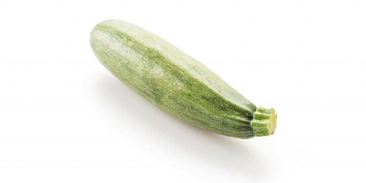 Article: Modulation of Summer Squash Growth and Productivity Via Spiritual Blessings (Biofield) Energy Treatment (SBET)