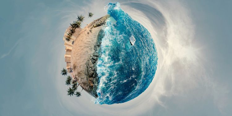 Article: Climate Change Sustainable Net-Zero Emissions by Uptake Atmospheric Carbon Dioxide by Terrestrial and Aquatic Plants
